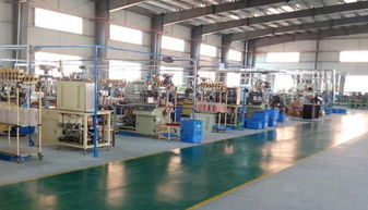 陸川縣華鑫電子廠電子終端產(chǎn)品項(xiàng)目入園投產(chǎn)，助力計(jì)算機(jī)技術(shù)開發(fā)產(chǎn)業(yè)新突破