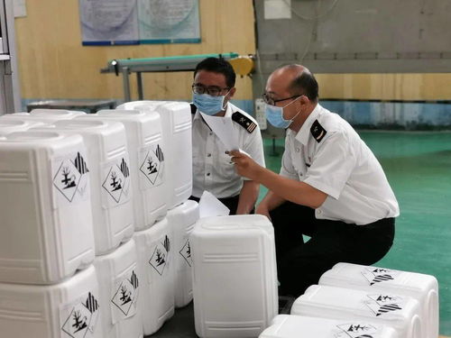 技術進出口領域迎來新規 危險化學品檢驗監管升級，企業需積極應對